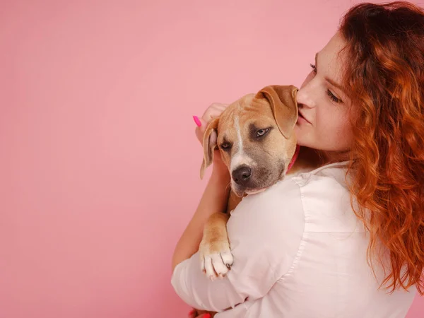 Mulher com filhote de cachorro American Staffordshire Terrier posando em estúdio — Fotografia de Stock