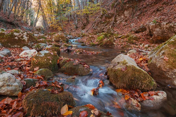 Arroyo en otoño atardecer bosque. Temporada de otoño en el bosque — Foto de Stock