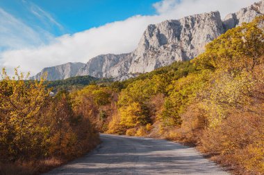 Bulutlu bir günde, yaz ormanlarında asfalt yol.