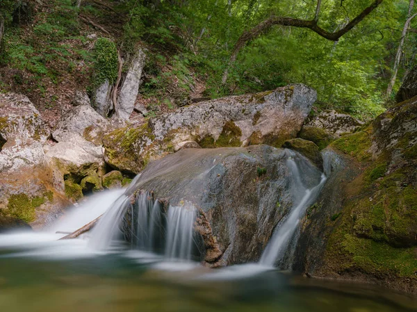 Маленька Річка Глибоко Зеленому Лісі Чудові Весняні Пейзажі Гірської Місцевості — стокове фото