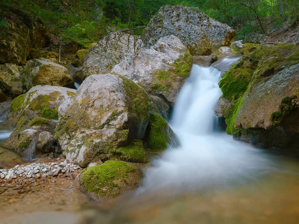 Kis Folyó Mélyen Zöld Erdőben Csodálatos Tavaszi Táj Hegyek Vidéke — Stock Fotó