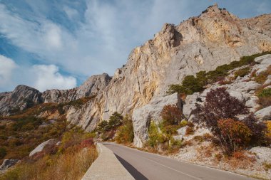 Bulutlu bir günde, sonbahar ormanlarında asfalt yol. Kırım Dağları