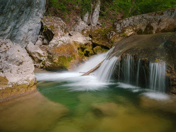 Маленька Річка Глибоко Зеленому Лісі Чудові Весняні Пейзажі Гірської Місцевості — стокове фото