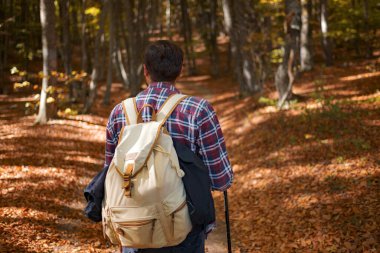 Kafkasyalı hippi erkek model doğada. Ağaçlı, kırsal yollu, turuncu ve kırmızı yapraklı, sonbaharda güneşli renkli bir manzara..