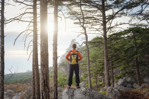 Concept Découverte Randonnée Nature Liberté Jeune Homme Debout Sommet Une — Photo