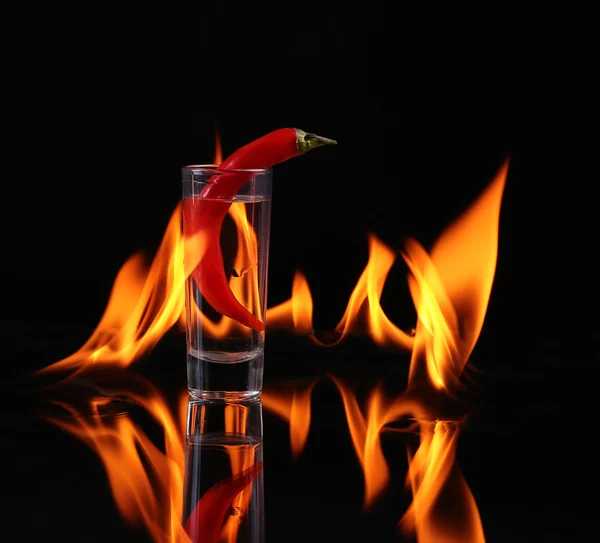 Papryczka chili w kieliszku z ogniem na czarnym tle — Zdjęcie stockowe