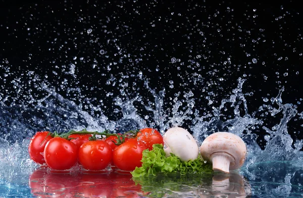 Cereja de tomate vermelho, cogumelos e salada fresca verde com respingo de gota de água — Fotografia de Stock