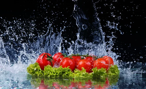 Saláta, paradicsom és víz csepp splash — Stock Fotó