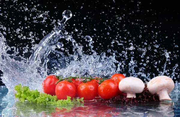 Cereja de tomate vermelho, cogumelos e salada fresca verde com respingo de gota de água — Fotografia de Stock