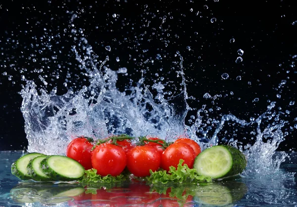 Salata, domates ve salatalık su damla sıçrama ile — Stok fotoğraf
