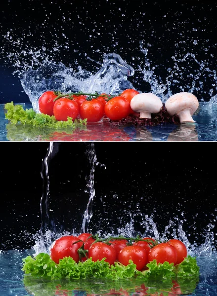 Salad, tomato and with water drop splash — Stock Photo, Image