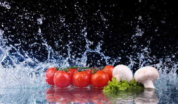 Salata, domates ve su damla sıçrama ile — Stok fotoğraf