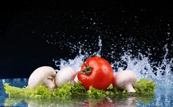 Saláta, paradicsom és víz csepp splash — Stock Fotó