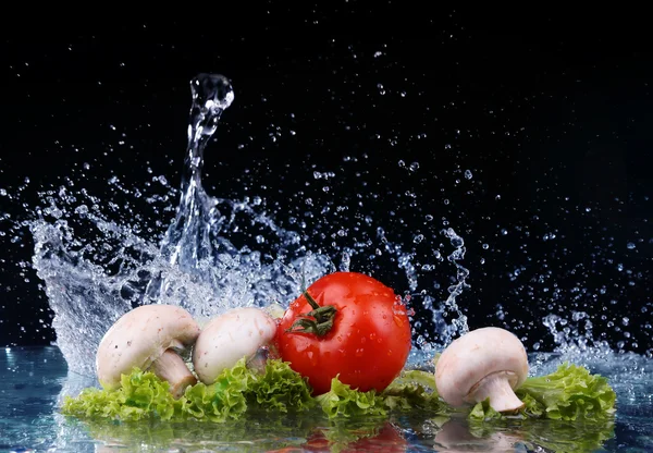 Sallad, tomat och med vatten droppe splash — Stockfoto