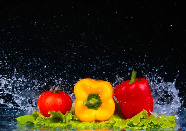 Színes piros paprika, víz vízcseppek a fekete háttér — Stock Fotó