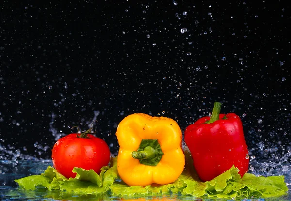 Színes piros paprika, víz vízcseppek a fekete háttér — Stock Fotó
