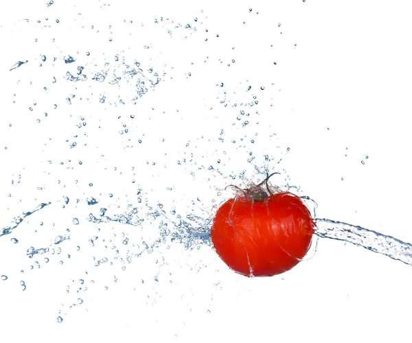 Tomate en spray d'eau. Tomate juteuse avec éclaboussure sur fond blanc — Photo