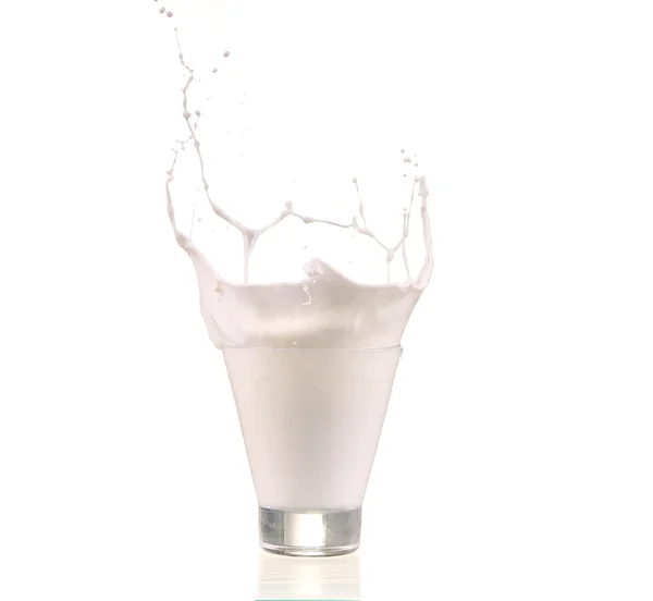 Splash of milk in a glass isolated on white — Stock Photo, Image