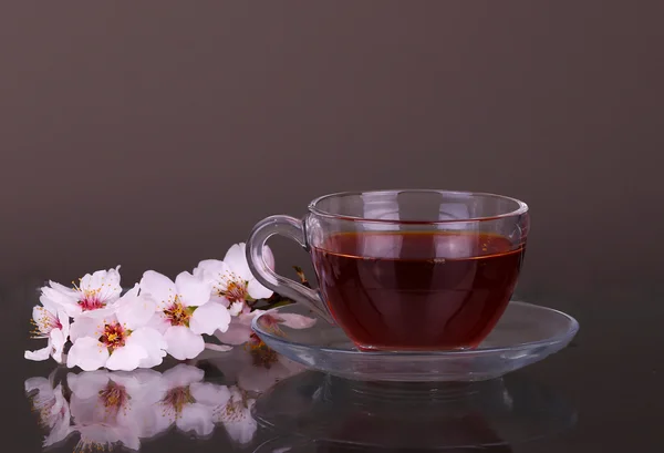 Kopp te och cherry gren — Stockfoto