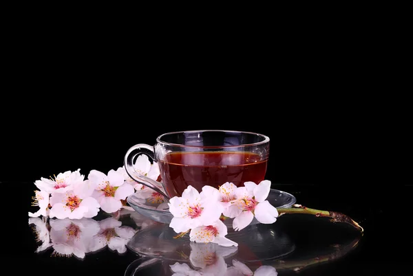 Taza de té y rama de cereza — Foto de Stock