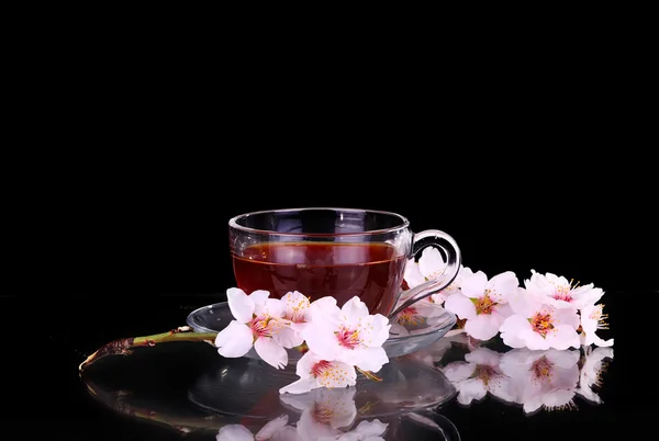 Taza de té y rama de cereza — Foto de Stock