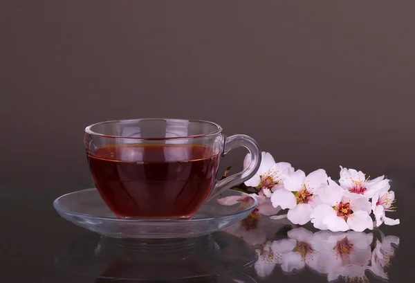 Cup of tea and cherry branch — Stock Photo, Image