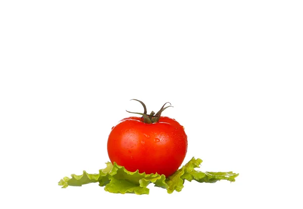 新鮮なトマトの白で隔離されるレタスの葉 — ストック写真
