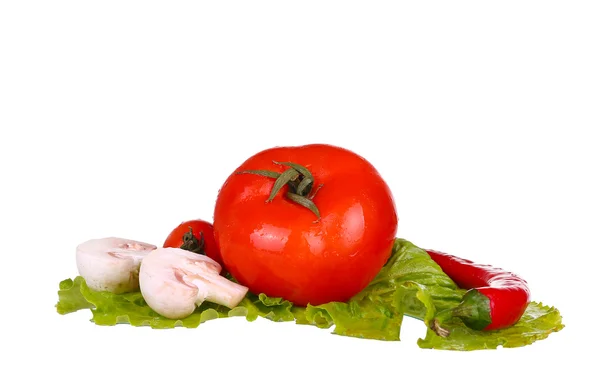 白いキノコ、トマト、ピーマンに分離された野菜 — ストック写真