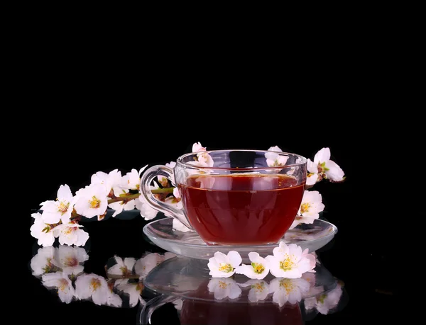 Taza de té y rama de cereza — Foto de Stock