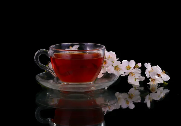 Xícara de chá e cereja ramo — Fotografia de Stock