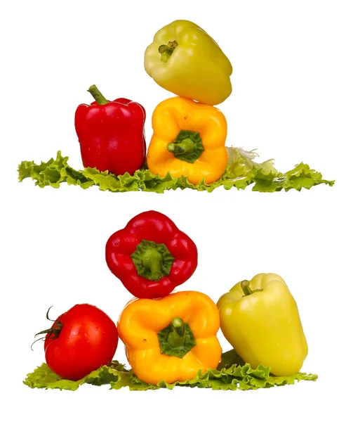 Collage Frischwasserspritzer auf rotem Paprika auf weißem Hintergrund — Stockfoto