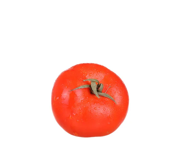 Um tomate vermelho fresco isolado em branco — Fotografia de Stock