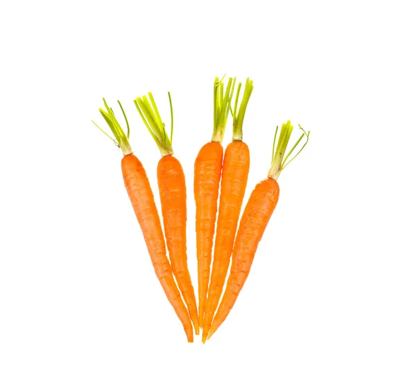Carrot vegetable with leaves isolated on white background cutout — Stock Photo, Image