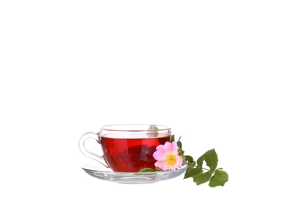 Chá de ervas no fundo branco — Fotografia de Stock