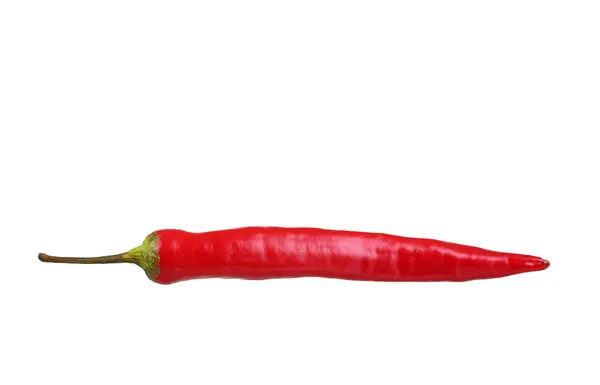 Red hot chili pepper isolated on a white background — Stock Photo, Image