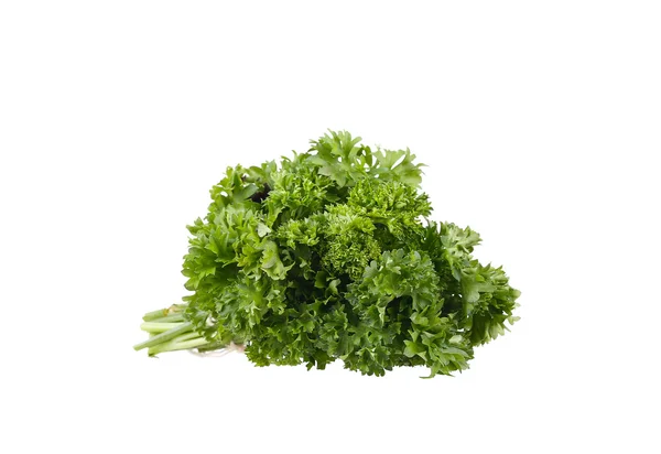 Parsley isolated on white background — Stock Photo, Image