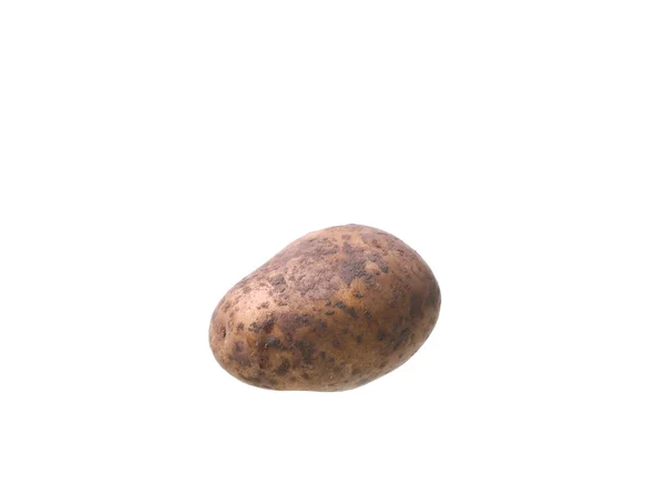 En potatis isolerad på vit bakgrund — Stockfoto