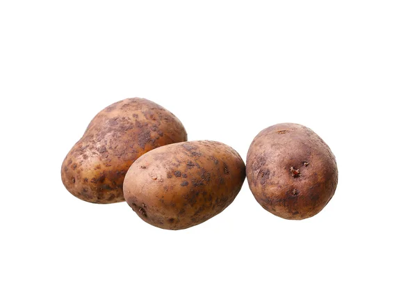 Kartoffel isoliert auf weißem Hintergrund Nahaufnahme — Stockfoto