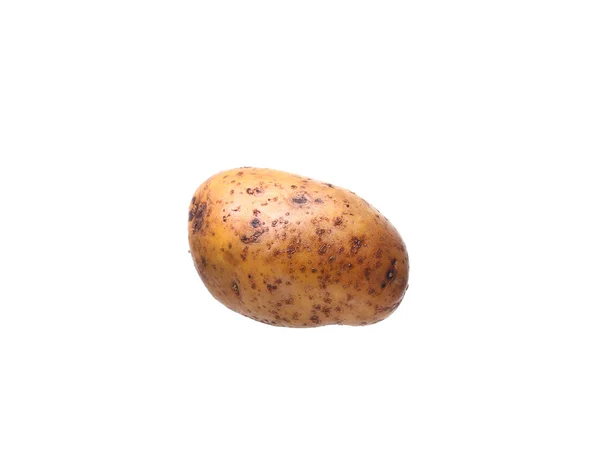 En potatis isolerad på vit bakgrund — Stockfoto