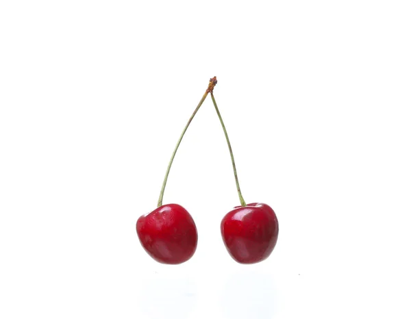 Cerises isolées sur fond blanc cutou — Photo