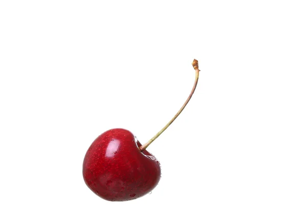 흰색 배경 cutou에 고립 된 체리 열매 — 스톡 사진