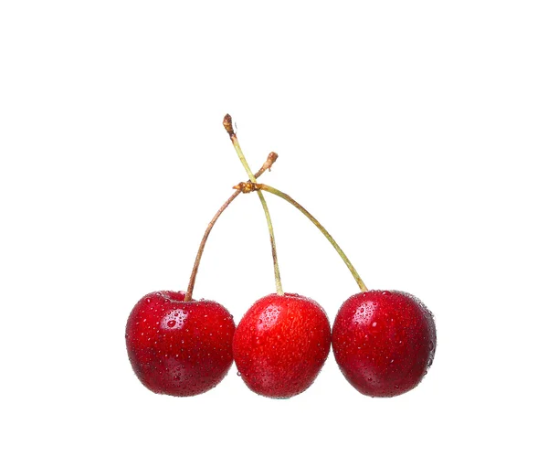 Cerises isolées sur fond blanc cutou — Photo