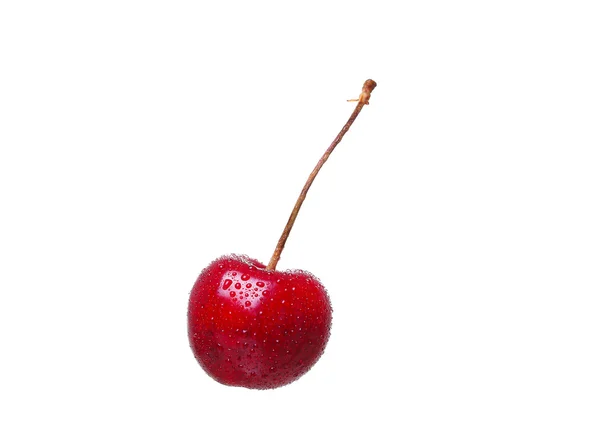 Cerises isolées sur fond blanc cutou — Photo