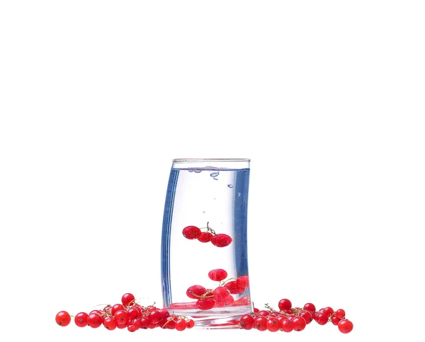 Água com groselhas vermelhas isoladas em branco — Fotografia de Stock