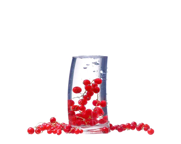 Water with red currants isolated on white — Stock Photo, Image