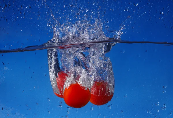 Verse tomaat met druppels water — Stockfoto