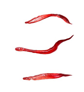 beyaz zemin üzerinde izole kırmızı şarap sıçramalarına