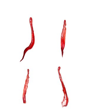 beyaz zemin üzerinde izole kırmızı şarap sıçramalarına