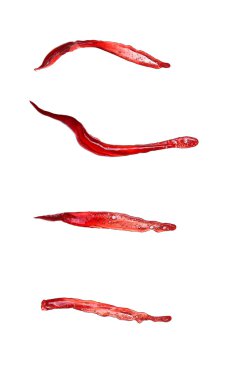 beyaz zemin üzerinde izole kırmızı şarap sıçramalarına