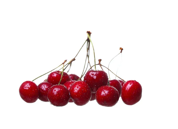 Bayas de cereza aisladas sobre fondo blanco cutou —  Fotos de Stock